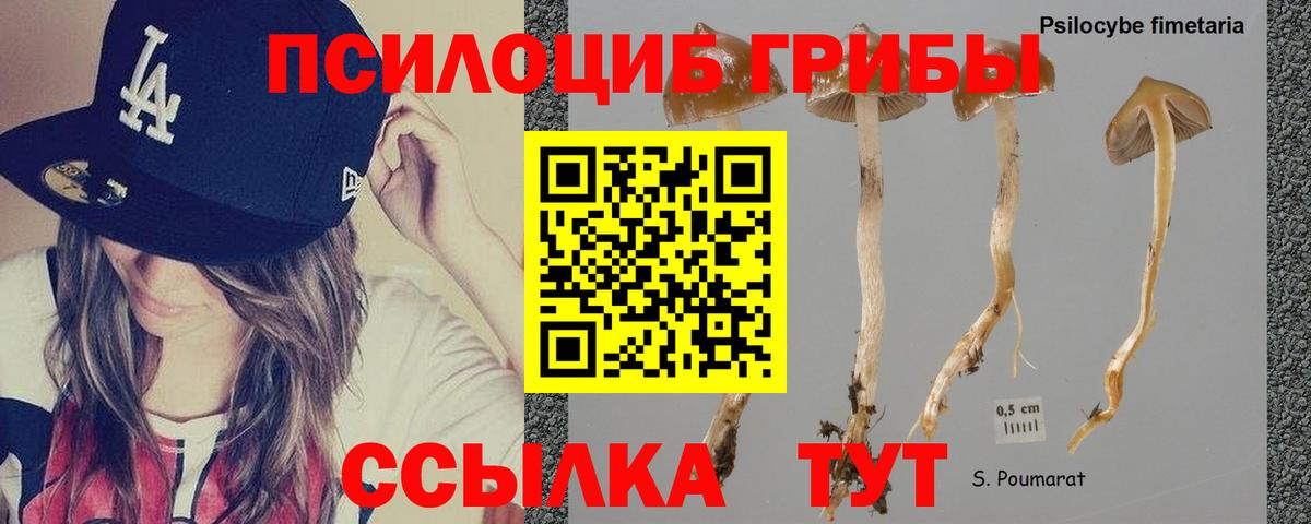 Воскресенск  Галлюциногенные грибы мицелий  Вход с VPN 